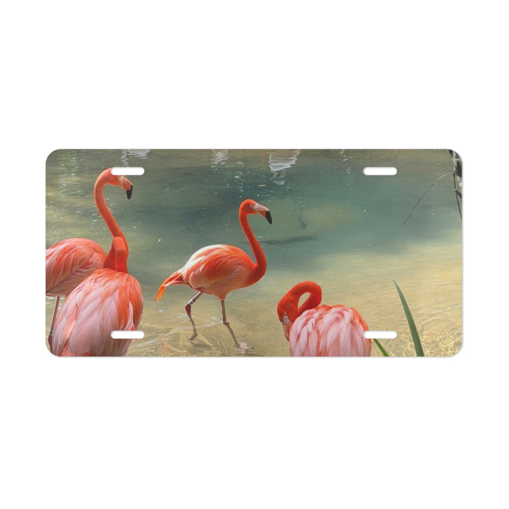 Pink Flamingo Relaxing Vanity Plate | License Plate